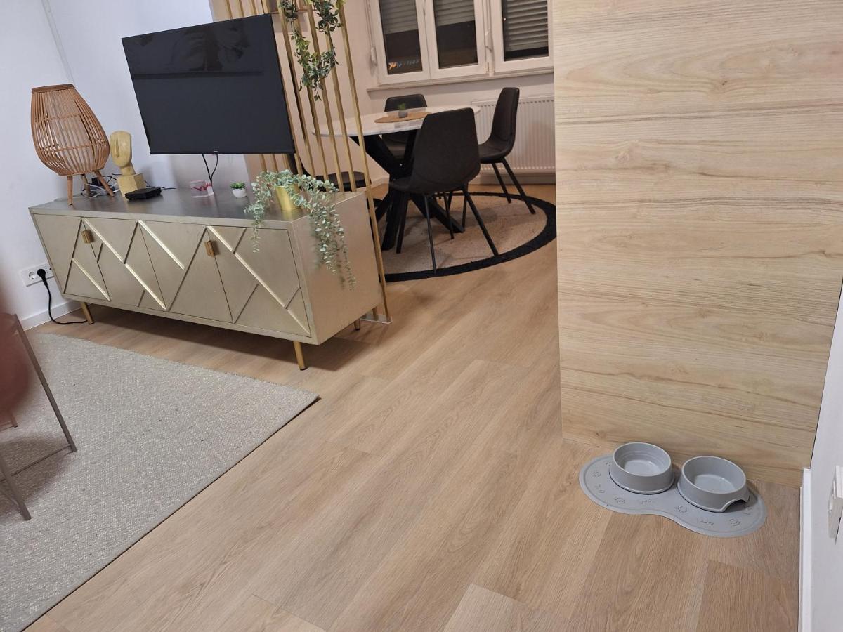 Dolly Apartment Zagabria Esterno foto